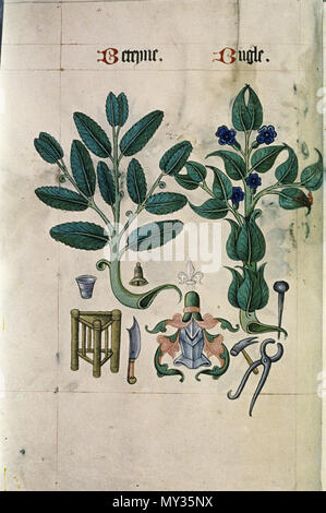 . Il Tudor Pattern Book. La Libreria di Bodleian, MS. Ashmole 1504 . tra circa 1520 e circa 1530. Sconosciuto 524 Il Tudor pattern book MS. Ashmole 1504 05 Foto Stock