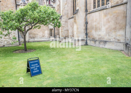 "Si prega di tenere fuori l'Erba' avviso sul prato di fronte all'Isaac Newton melo accanto alla cappella al Trinity College, Università di Cambridge, en Foto Stock