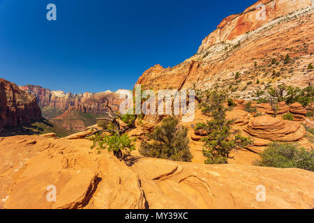 Natura paesaggio del Parco Nazionale di Zion, STATI UNITI D'AMERICA. Questa natura paesaggio è presa al punto di osservazione nel Parco Nazionale di Zion. Utah, Stati Uniti d'America. Foto Stock