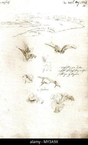 559 Weißeritz Foto Stock