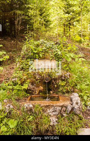 Molla di acqua con pura naturale acqua alpini. Annenquelle.St.Gilgen, Austria Foto Stock