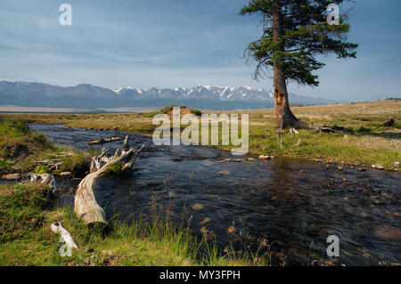 Flusso di fiume su highland steppa a secco con erba verde sullo sfondo della neve mountain range sotto il cielo chiaro Kurai montagne di Altai in Siberia Russia Foto Stock