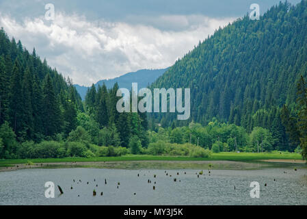 Viaggio vero il meraviglioso paesaggio e natura della Romania Foto Stock