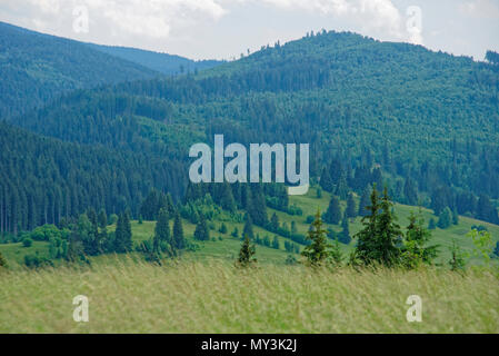 Viaggio vero il meraviglioso paesaggio e natura della Romania Foto Stock