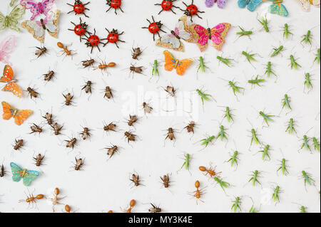 Il Cinese ha fatto di plastica insetti venduto in seaside novità shop, Llandudno. Le formiche, cavallette, ladybrids, farfalle Foto Stock