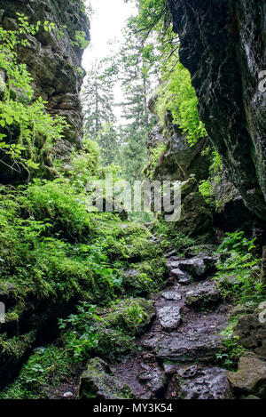 Viaggio vero il meraviglioso paesaggio e natura della Romania Foto Stock