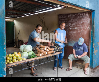 Trovato queste nascenti imprenditori agricoli impostazione shop nelle prime ore del mattino Foto Stock