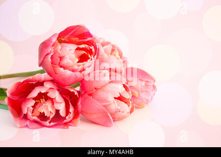 Bel bouquet di rosa peonia fioritura tulipani su sfondo rosa. Messaggio di saluto festivo card con bokeh di fondo. Foto Stock