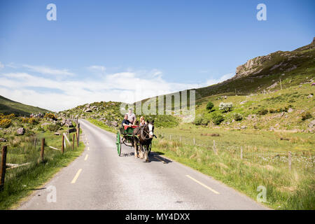 Giugno 4th, 2018 Gap di Dunloe, Irlanda - per coloro che godono di un cavallo carrozza accanto a Augher lago nella contea di Kerry Foto Stock