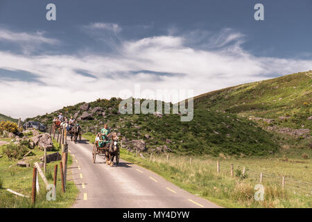 Giugno 4th, 2018 Gap di Dunloe, Irlanda - per coloro che godono di un cavallo carrozza accanto a Augher lago nella contea di Kerry Foto Stock