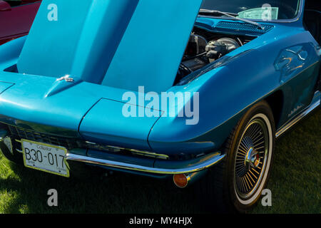 Chevrolet Corvette auto da rally, Kennewick, Washington, Stati Uniti d'America Foto Stock