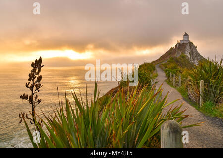 Nugget Point Lighthouse con sunrise, Isola del Sud, Nuova Zelanda Foto Stock