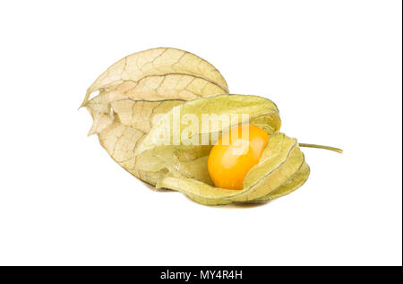 Coppia di frutta fresca physalis su sfondo bianco Foto Stock