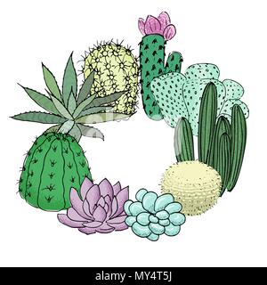 Succulento cactus roundelay set. Posto per testo. agave, aloe, gastraea, echeveria, Pachyphytum, Illustrazione Vettoriale