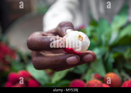 Il Lychee bucce di guardare al di sopra in Shimultoli Bazar a Rooppur, Ishwardi , Bangladesh. Foto Stock