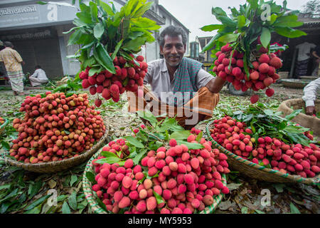 Un litchi il rivenditore all'ingrosso mostra il suo grande Lychee mazzetto in Shimultoli Bazar a Rooppur, Ishwardi , Bangladesh. Foto Stock