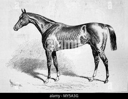 . Inglese: Incisione delle corse ippiche francesi Chamant da Illustrated London News, maggio 1877. Dopo la verniciatura da John Sturgess (d. 1903). Autore morto per 109 anni. Il 14 gennaio 2011, 11:08:44. John Sturgess (d. 1903) 104 Chamant (cavallo) Foto Stock