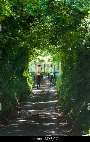 Batheaston, Somerset, 6 giugno 2018. Regno Unito: Meteo cavalieri corsa attraverso un tunnel di alberi su un bel sole e caldo giorno. Credito: Richard Wayman/Alamy Live News Foto Stock