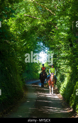 Batheaston, Somerset, 6 giugno 2018. Regno Unito: Meteo cavalieri corsa attraverso un tunnel di alberi su un bel sole e caldo giorno. Credito: Richard Wayman/Alamy Live News Foto Stock