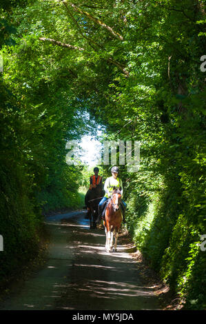 Batheaston, Somerset, 6 giugno 2018. Regno Unito: Meteo cavalieri corsa attraverso un tunnel di alberi su un bel sole e caldo giorno. Credito: Richard Wayman/Alamy Live News Foto Stock