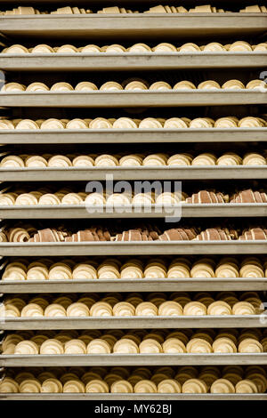 Materie croissant su scaffali in forno industriale Foto Stock