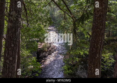 Alberta, Michigan - Canyon Falls, sul fiume di storione nella Penisola Superiore del Michigan.. Foto Stock