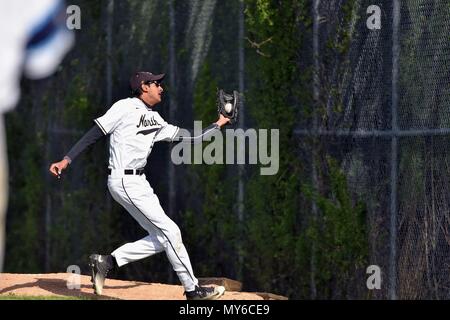 Diritto fielder effettuare con una sola mano in funzione delle catture di un fly palla in bullpen contrapposti. Stati Uniti d'America. Foto Stock