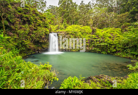 Puaa Kaa cade in Maui, Hawaii Foto Stock