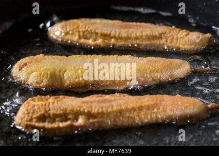 I cani di mais - la frittura in padella con olio di semi di girasole - Vista ravvicinata Foto Stock