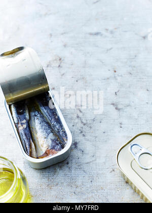 Scatola di sardine Foto Stock