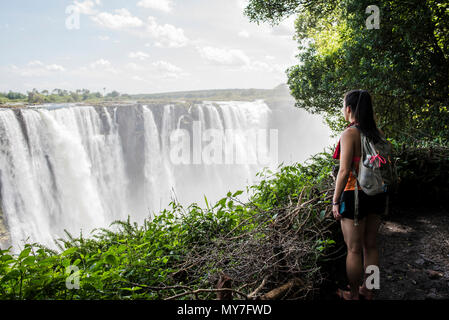 Giovane turista femminile guardando a Victoria Falls, Zimbabwe Africa Foto Stock