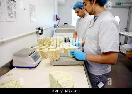 Cheese Makers il taglio di blocchi di blu stilton a pacchetto e spedirlo ai grossisti Foto Stock