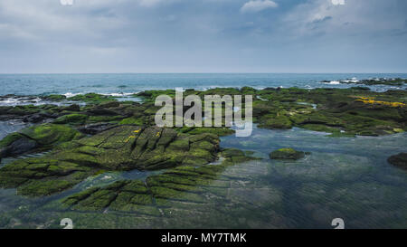 Le pietre colorate della costa del Firth of Clyde, Troon, Scotland, Regno Unito Foto Stock