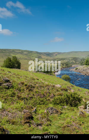 La Pennine Way a lunga distanza sentiero in Teesdale superiore, accanto al Fiume Tees, guardando verso Cronkley cadde, nella luce del sole con spazio di copia Foto Stock