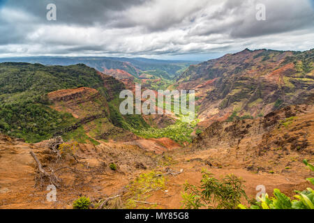 Il Canyon di Waimea da Puu Hinahina Lookout Foto Stock