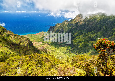 Vista panoramica sulla valle Kalalau, Kauai, Hawaii Foto Stock