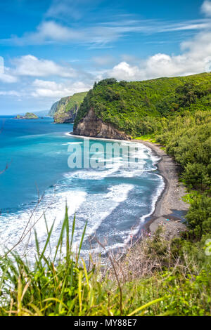 Panoramia vista sulla Valle di Pololu Foto Stock