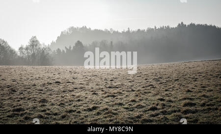 Nebbia che sorge su un prato nella campagna della Svizzera sassone. Foto Stock