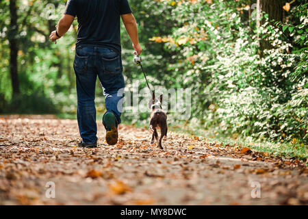 Uomo che cammina cane in ambiente rurale, bassa sezione, vista posteriore Foto Stock