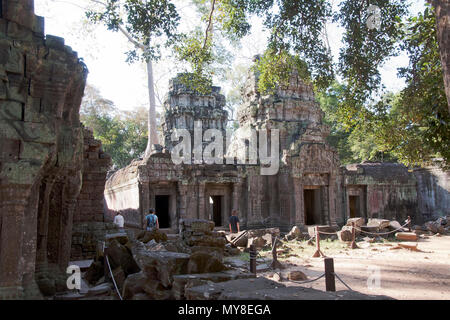 Siem Reap Cambogia, turistico a piedi attraverso il Ta Prohm un secolo XII tempio complesso Foto Stock