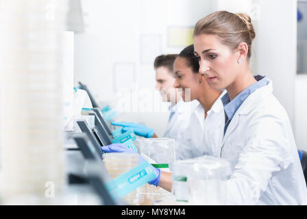 Un gruppo di ricercatori durante il lavoro sui dispositivi in laboratorio Foto Stock