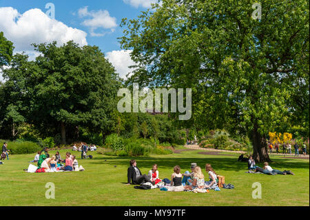 Picnic estivo in Hyde Park, London, Regno Unito Foto Stock