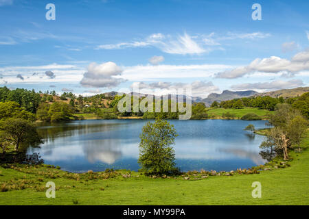 Loughrigg Tarn, su una soleggiata Mattina di primavera, nel Parco Nazionale del Distretto dei Laghi Foto Stock