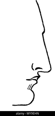 . Il naso dritto. Immagine da Warwick's Nasology, 1848 . Warwick 47 Aquain Nosen Foto Stock