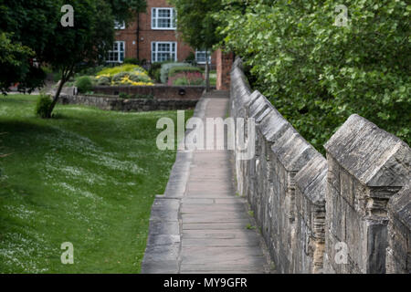 York England Regno Unito. La sezione della parete di storico e il sentiero intorno alla città di York, nello Yorkshire, con alberi e vegetazione. Foto Stock
