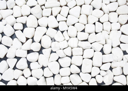 Bianco sullo sfondo di ghiaia Foto Stock