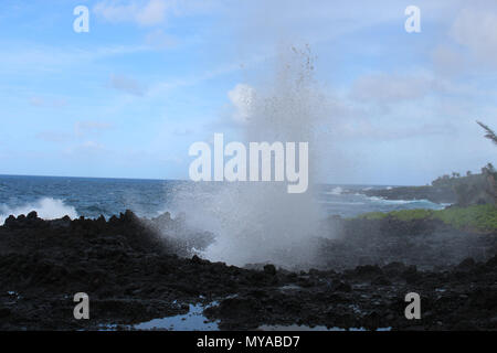 Un foro di sfiato siano spruzzati acqua 20 piedi in aria sul nero della lava, costa rocciosa di Waianapanapa State Park, Maui, STATI UNITI D'AMERICA Foto Stock