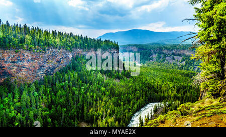 Una vista panoramica delle correnti potenti del Murtle fiume nella valle dell'altopiano di Murtle nel Grey Parco Provinciale, British Columbia, Canada Foto Stock