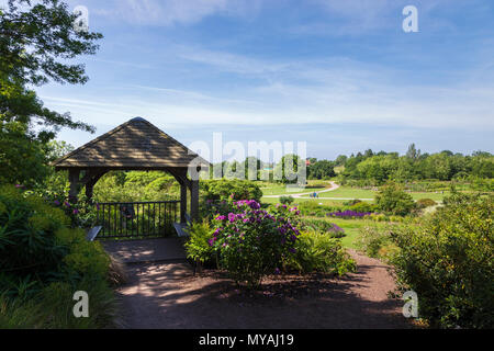 Gazebo che si affaccia RHS Gardens Hyde Hall in Essex su una Gloriosa Mattina d'estate Foto Stock