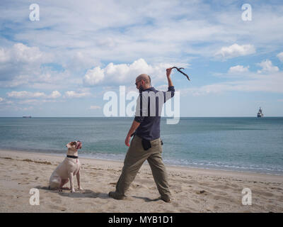 Barbuto giovane uomo e il suo cane giocando fetch in spiaggia Foto Stock